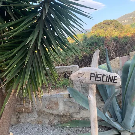Grand T4 - Piscine - Vue Feerique * Propriano (Corsica)