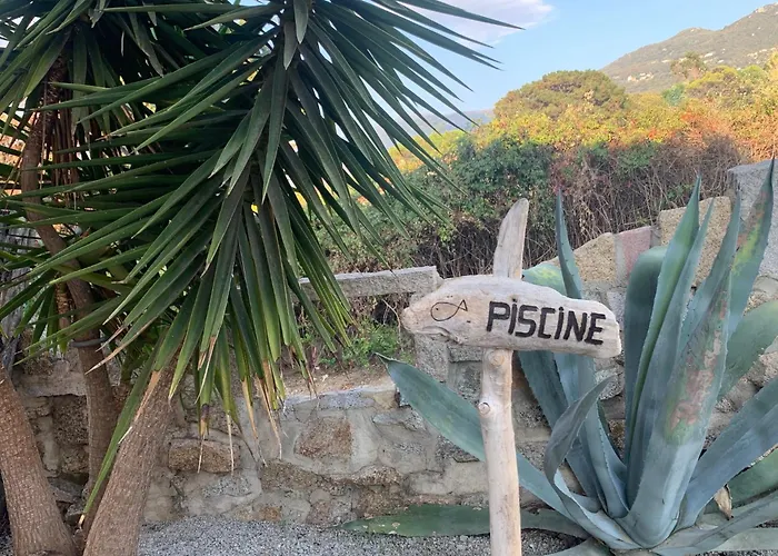 Grand T4 - Piscine - Vue Feerique * Propriano (Corsica)